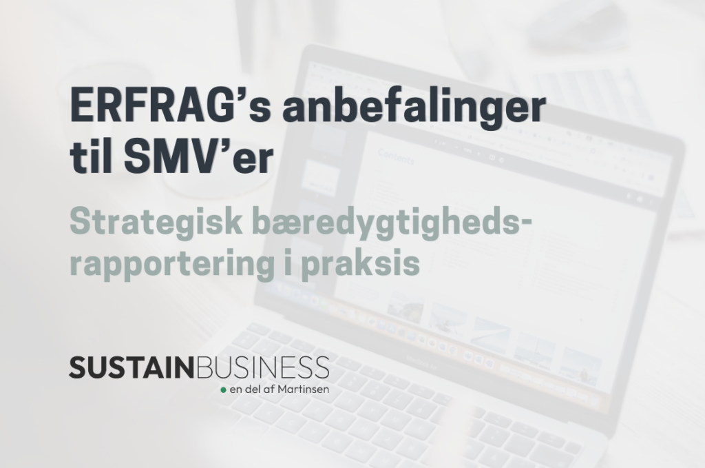 ERFRAG's anbefalinger til SMV'er_foto